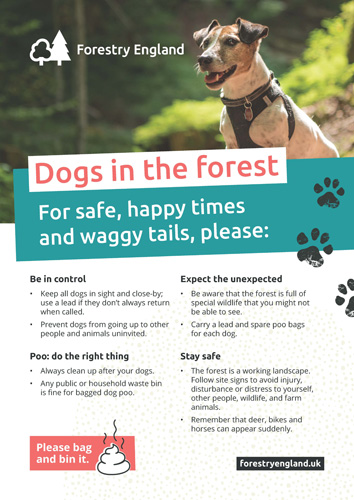 Forestry England Dog Code